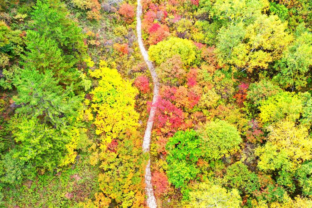 二龍什臺：漫山遍野披彩妝