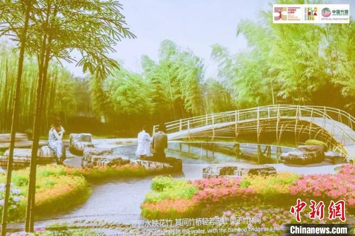 圖為活動現(xiàn)場通過視頻展示“中國竹園”設(shè)計(jì)方案。　荷蘭駐華大使館供圖