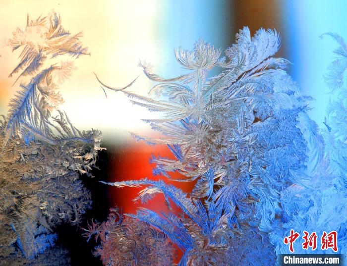 冰窗花千姿百態(tài)?！O書程 攝