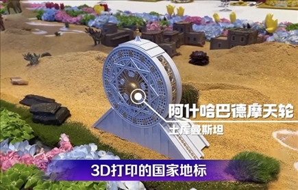 時(shí)政微觀(guān)察丨石榴花開(kāi)的時(shí)節(jié)