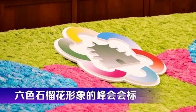 時(shí)政微觀(guān)察丨石榴花開(kāi)的時(shí)節(jié)