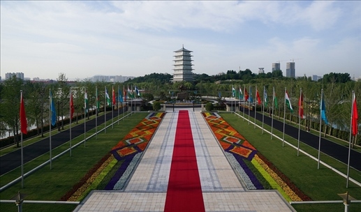 時(shí)政微觀(guān)察丨石榴花開(kāi)的時(shí)節(jié)