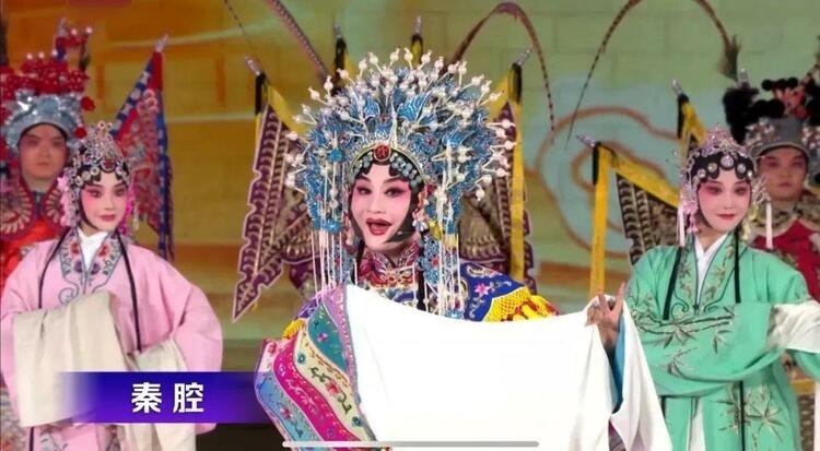 時(shí)政微觀(guān)察丨石榴花開(kāi)的時(shí)節(jié)