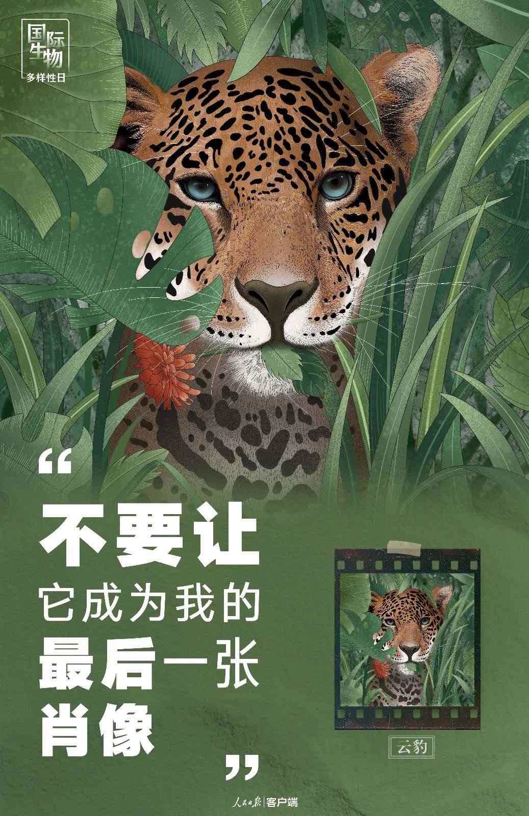 “不要讓它成為我的最后一張肖像”