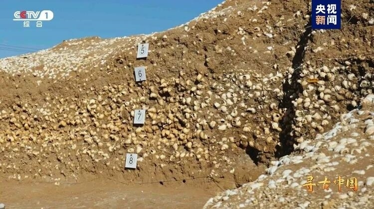 大型系列紀(jì)錄片《尋古中國》開播，首部系列探尋古滇文明