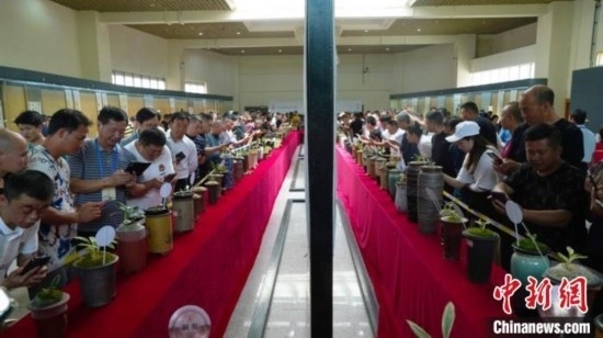 圖為活動(dòng)現(xiàn)場(chǎng)。 云南省委臺(tái)辦供圖