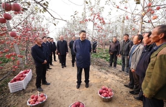 2022年10月26日，習近平總書記在陜西省延安市安塞區(qū)高橋鎮(zhèn)南溝村蘋果園同老鄉(xiāng)們親切交流。