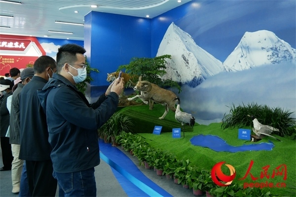 6月17日，觀眾正在觀展。人民網(wǎng) 韋衍行攝