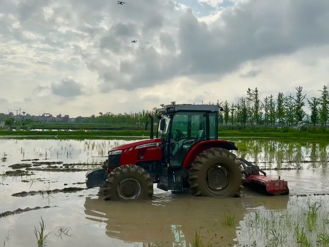 浙江省金華市東陽市城東街道寀盧村的一臺無人駕駛耕地機。靜玄 攝