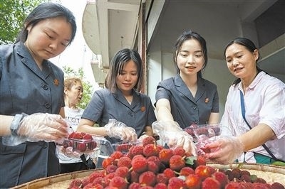 志愿者和村民一起將摘下的楊梅裝進(jìn)食品盒里。