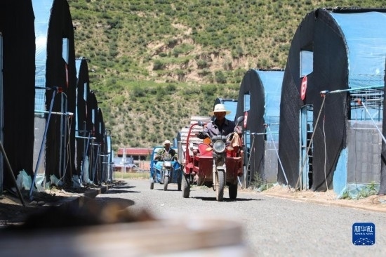 7月29日，農(nóng)戶在卓尼縣納浪鎮(zhèn)納浪村黑木耳種植基地勞作。