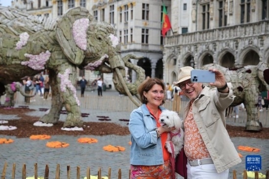 8月11日，觀眾在比利時布魯塞爾“鮮花時光”展覽上拍照。新華社記者 趙丁喆攝