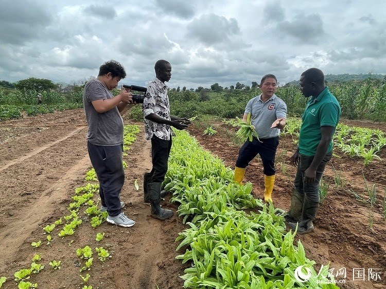 人民網(wǎng)記者走進尼日利亞農(nóng)業(yè)技術(shù)示范中心。人民網(wǎng)記者 趙艷紅攝
