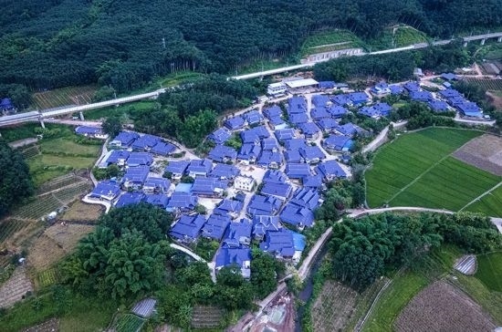 磨憨鎮(zhèn)曼莊村大龍哈小組現(xiàn)代化邊境幸福村新貌。人民網(wǎng)記者 符皓攝