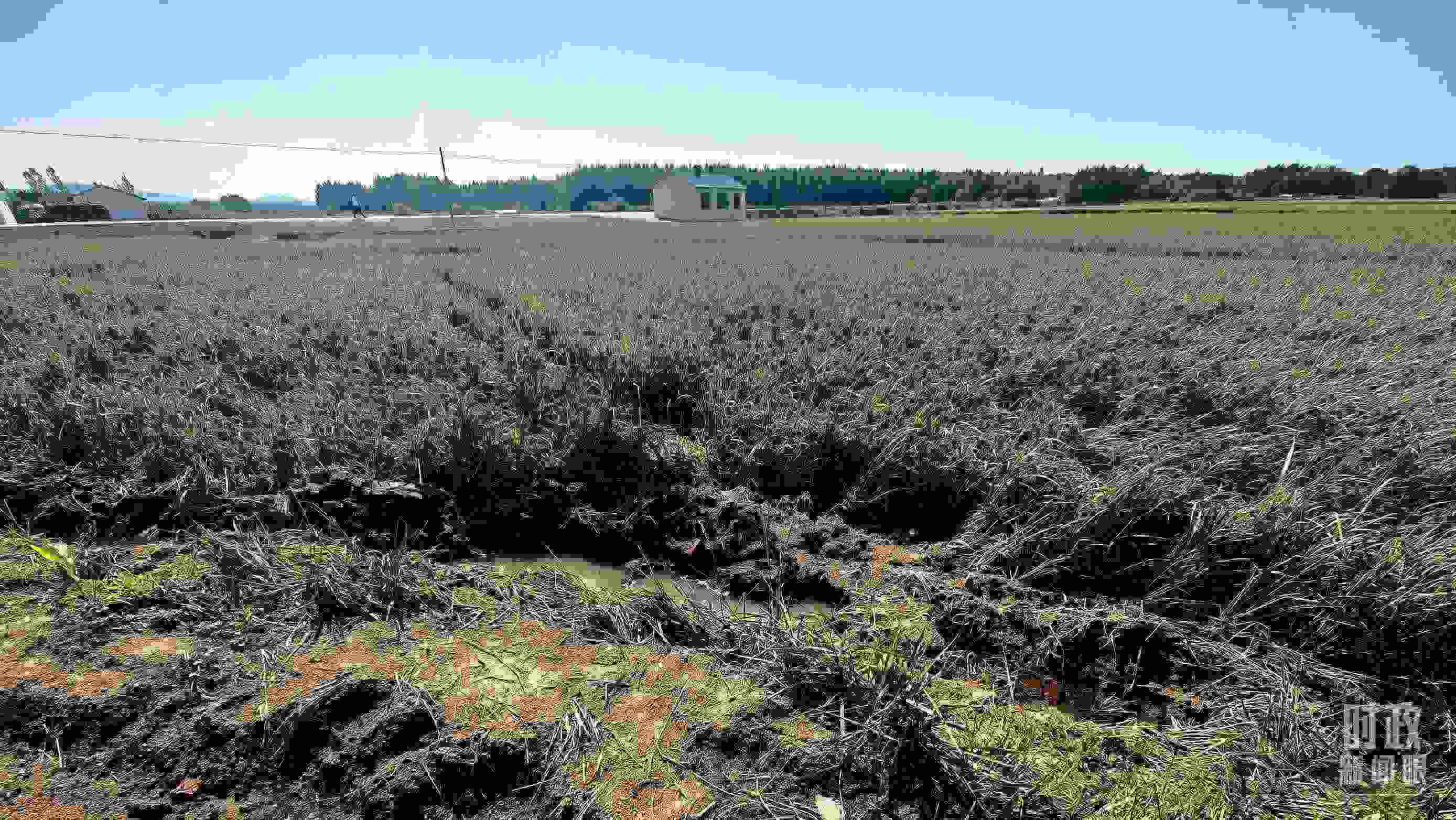 △圖為龍王廟村在洪災中受損的農(nóng)田。（總臺央視記者史偉拍攝）