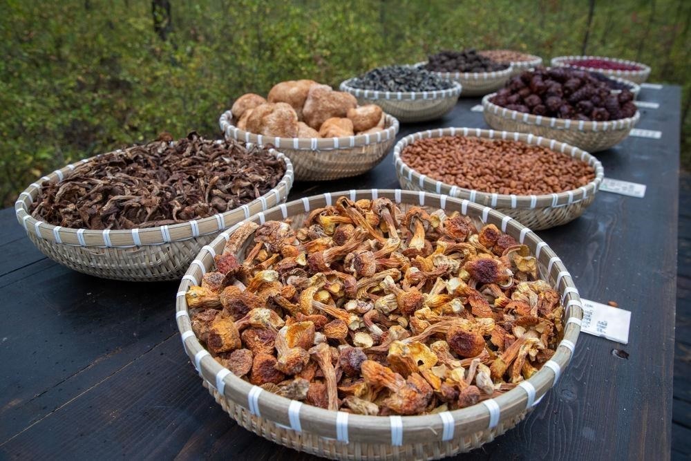 △近日，漠河市北極村一景區(qū)展示的林下產(chǎn)品。