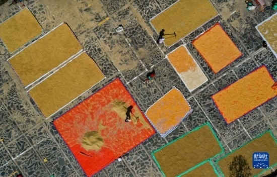9月16日，貴州省黔東南苗族侗族自治州丹寨縣南皋鄉(xiāng)石橋村村民在晾曬農(nóng)作物（無(wú)人機(jī)照片）。