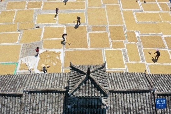 9月16日，村民在貴州省黔東南苗族侗族自治州從江縣剛邊壯族鄉(xiāng)三聯(lián)村晾曬稻谷（無(wú)人機(jī)照片）。