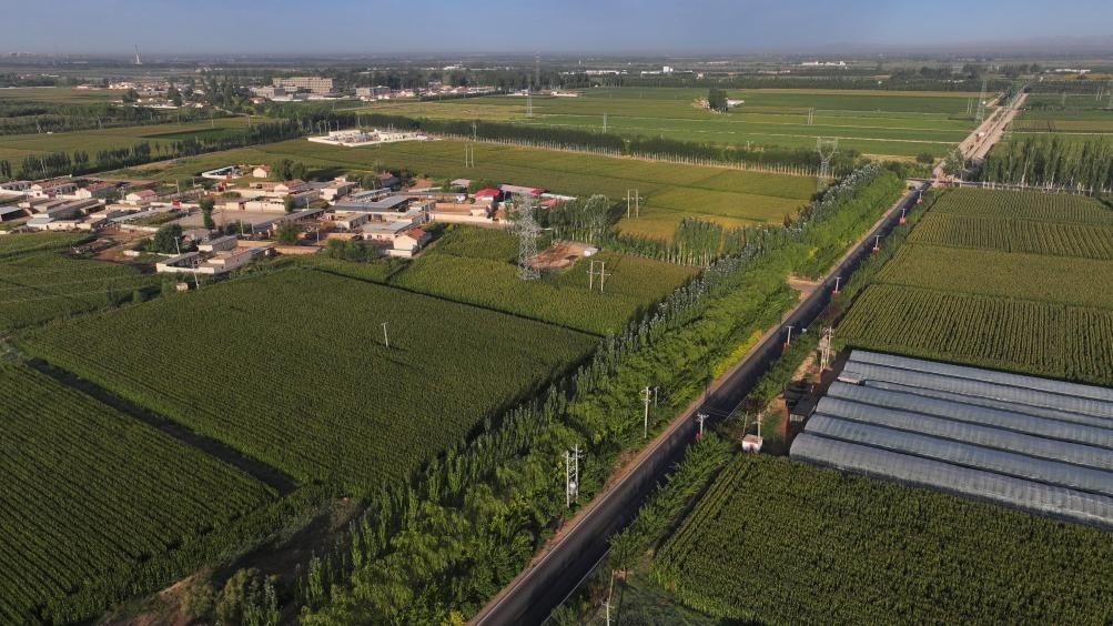 東興村周邊建起防護(hù)林網(wǎng)（無人機(jī)照片，2023年9月12日攝）。新華社記者李云平 攝