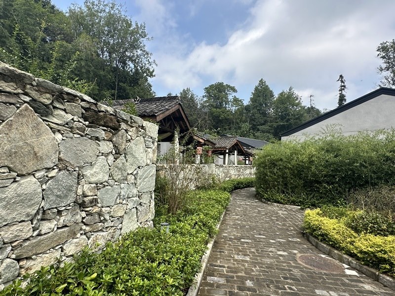 眾多民宿坐落于夫子山山麓。人民網(wǎng) 王紹紹攝