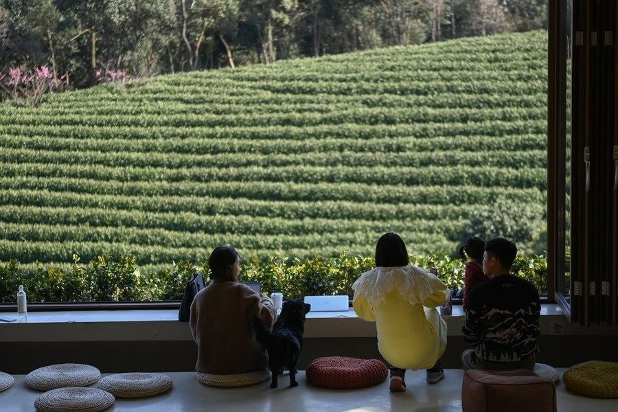游客在浙江省安吉縣黃杜村萬畝茶園邊的咖啡館休閑（2023年2月21日攝）。
