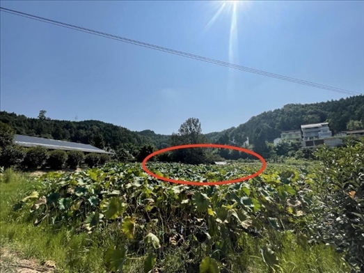 曾經(jīng)的圣水園所在地。 人民網(wǎng)記者 楊喬攝