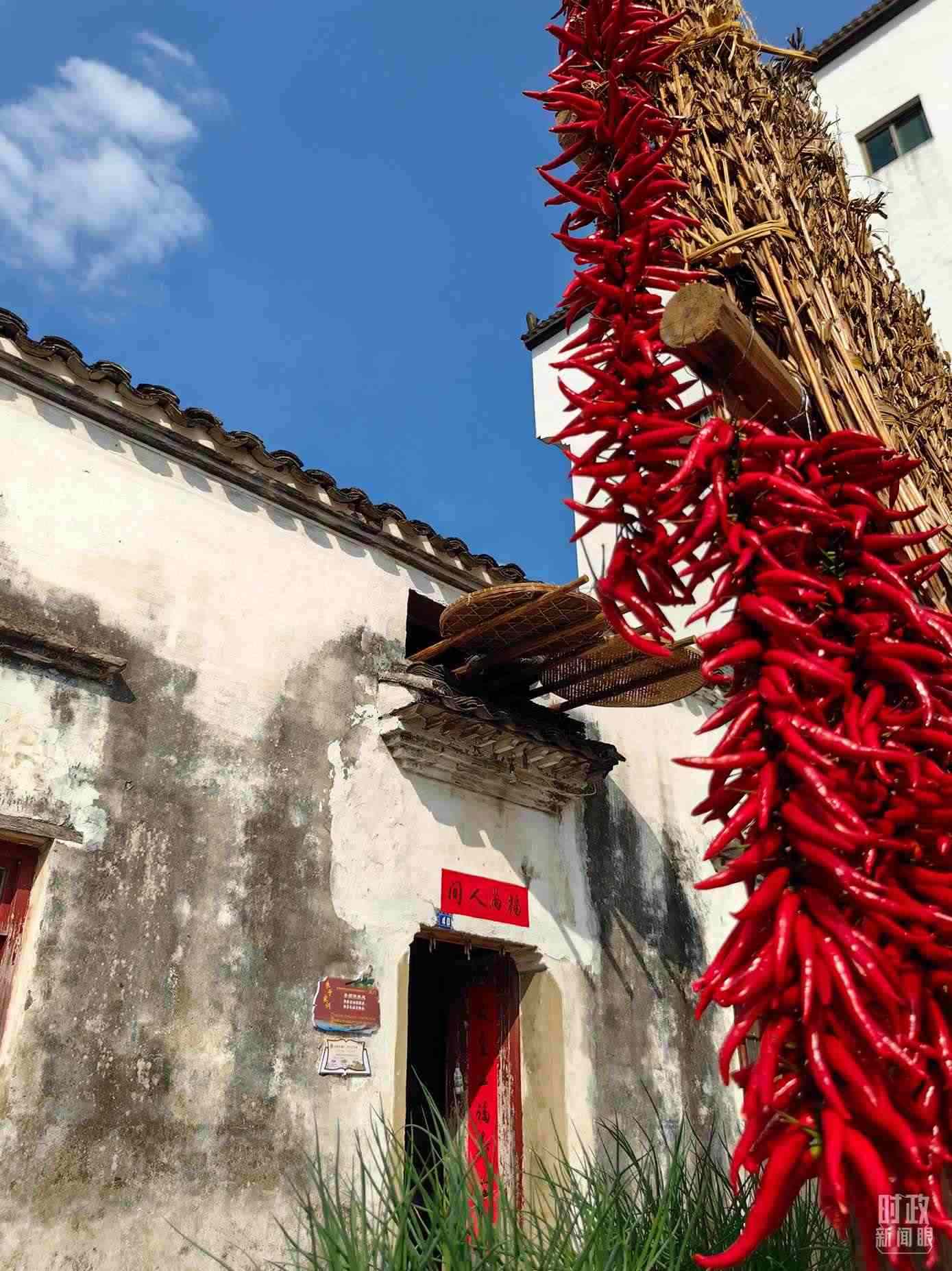 △石門村農家晾曬的辣椒。（總臺央視記者段德文拍攝）