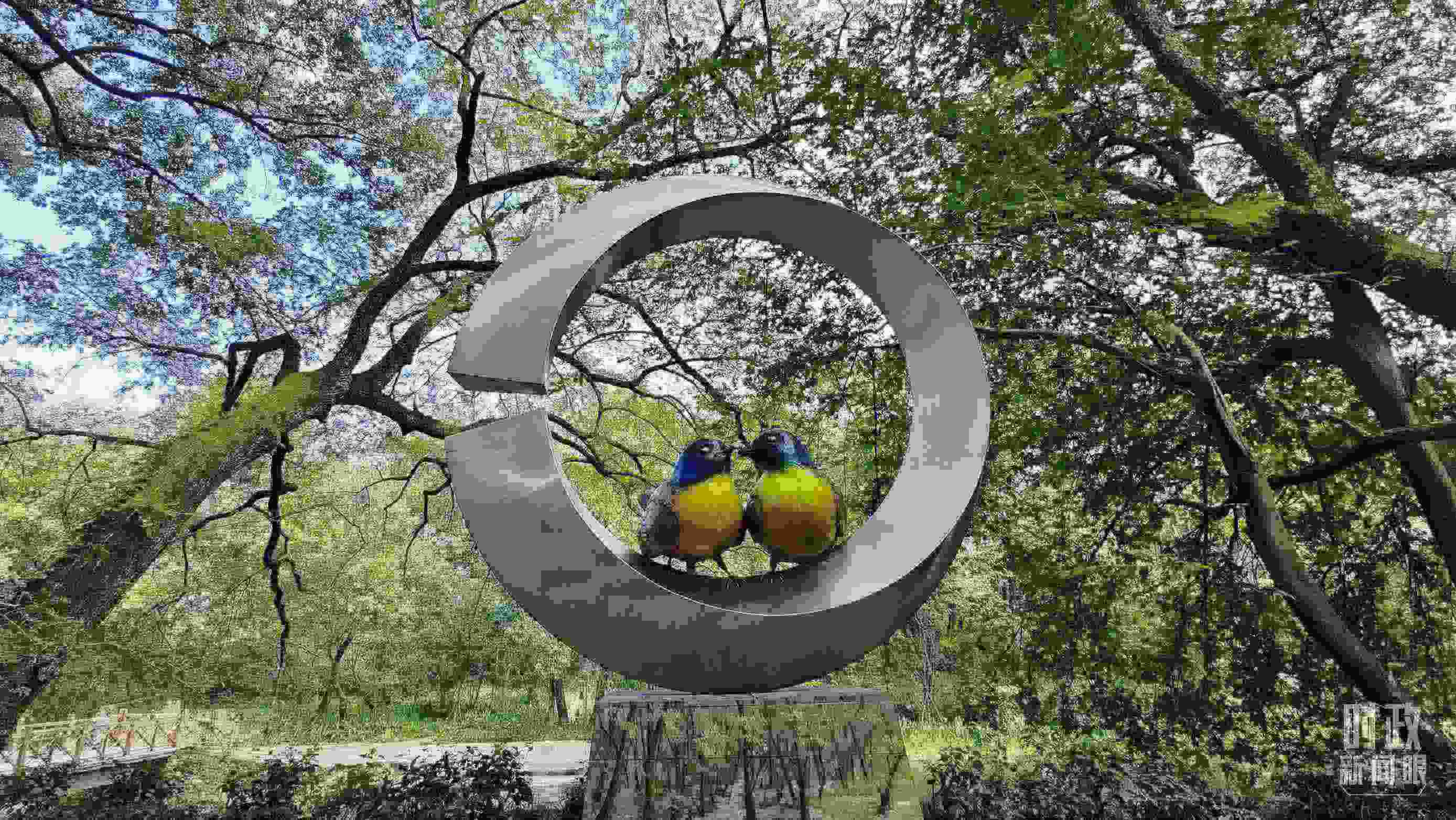 △石門村里的藍冠噪鹛雕像。（總臺央視記者許永松拍攝）