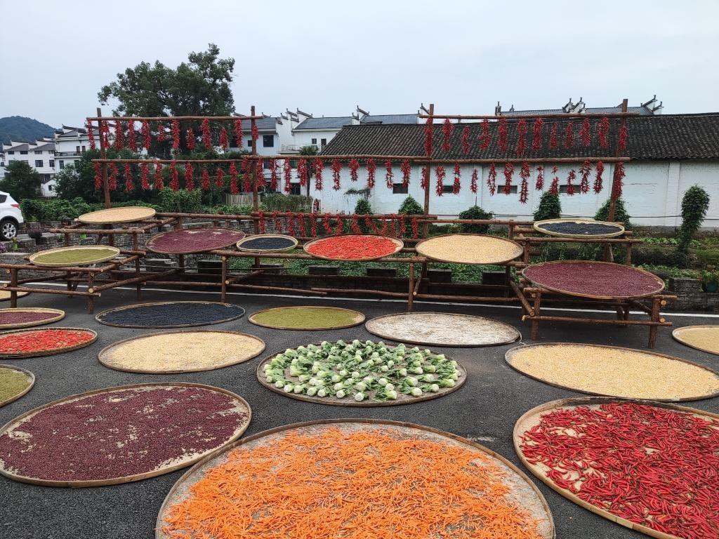 近日，江西省上饒市婺源縣秋口鎮(zhèn)王村村民晾曬的農(nóng)作物。新華社記者 劉佳敏 攝