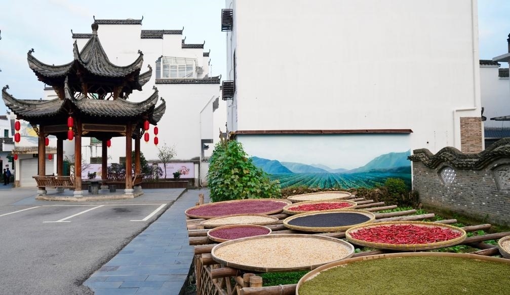 近日拍攝的江西省上饒市婺源縣秋口鎮(zhèn)王村石門自然村曬秋場(chǎng)景。新華社記者 胡晨歡 攝