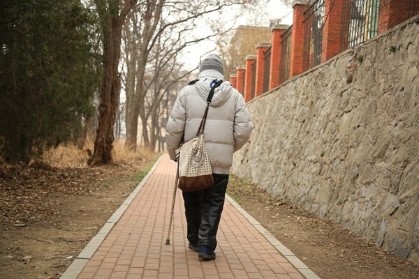 鐘萬勰院士在大連理工大學校園里。周學飛攝