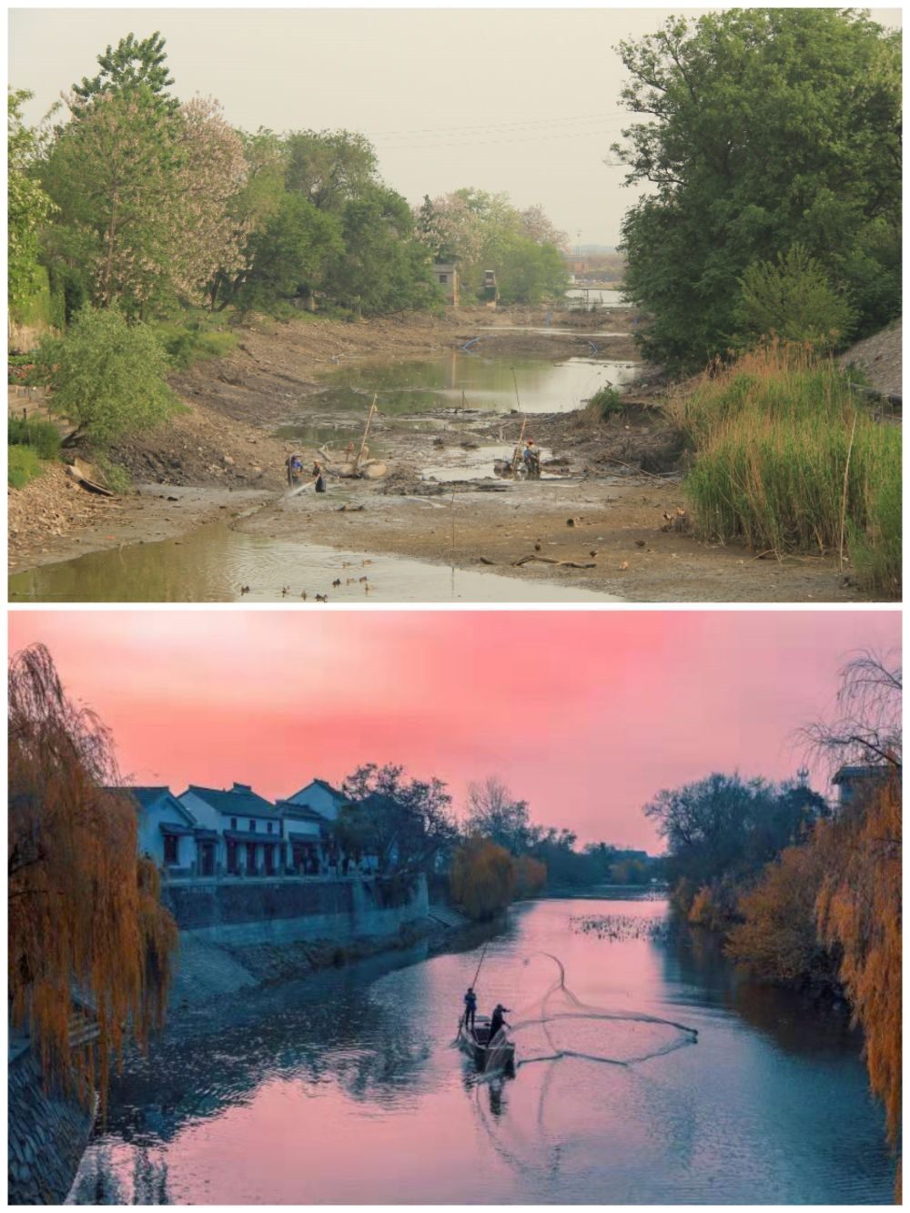 江蘇省揚(yáng)州市江都區(qū)明清運(yùn)河故道整治前后。（上圖：2012年；下圖：2020年）（孫友定 攝）