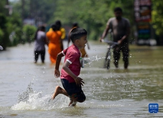 11月24日，一名男孩在斯里蘭卡加姆珀哈涉水出行。新華社發(fā)（阿吉特·佩雷拉攝）