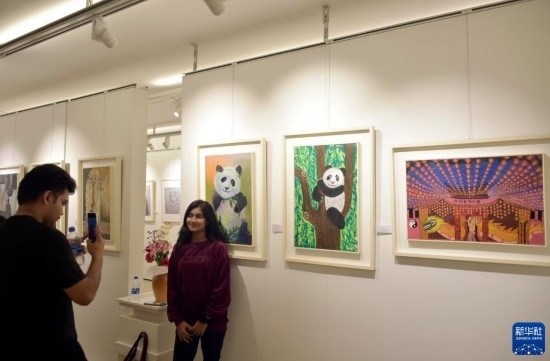 11月22日，在孟加拉國達卡，人們在“國家印象”繪畫展上參觀拍照。新華社發(fā)（薩利姆攝）