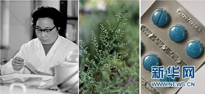 屠呦呦、青蒿和抗瘧疾成藥（拼版資料照片）