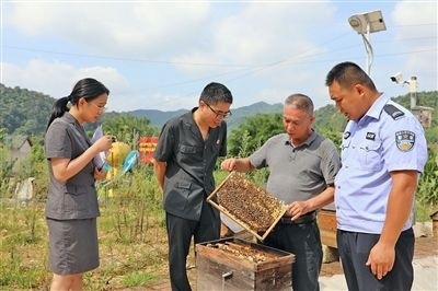  圖②：蒙山法院黃村法庭法官深入蜂蜜合作社，實地了解蜂農(nóng)需求。