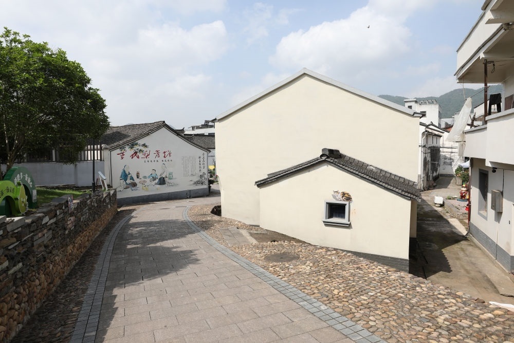 浙江省義烏市李祖村一景（2023年5月23日攝）。新華社記者 杜瀟逸 攝