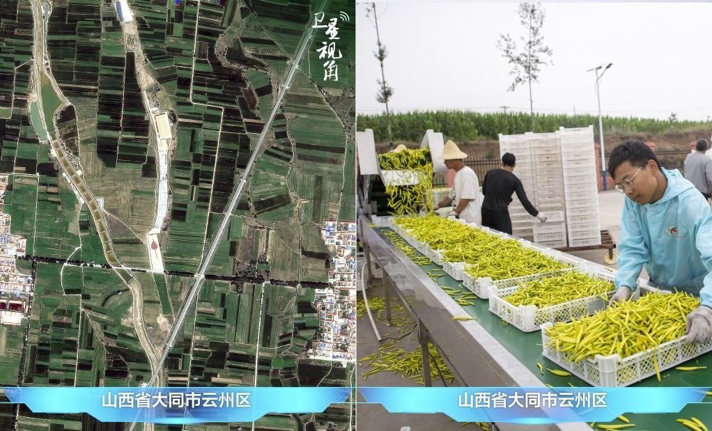 當(dāng)前，大同市開發(fā)黃花菜品、食品、飲品、功能食品、化妝品、文創(chuàng)產(chǎn)品六大系列130余種，全產(chǎn)業(yè)鏈產(chǎn)值超40億元。