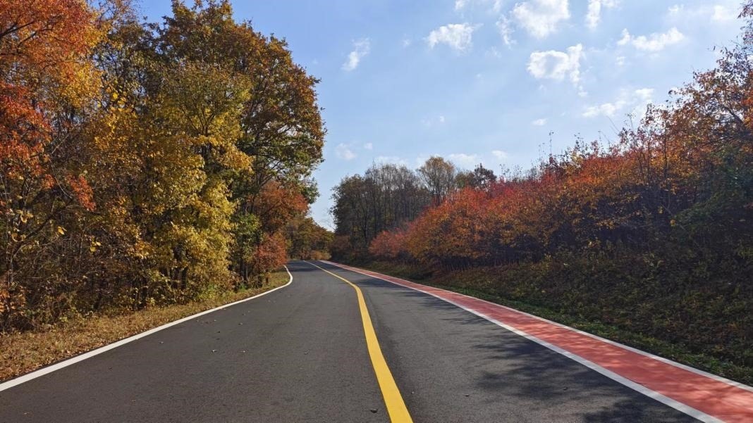 九臺(tái)區(qū)圍繞紅色文化、冰雪資源、特色民宿，進(jìn)一步完善道路功能。九臺(tái)區(qū)委宣傳部供圖