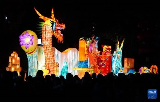 2月11日晚，人們在濟南市趵突泉公園觀賞花燈。