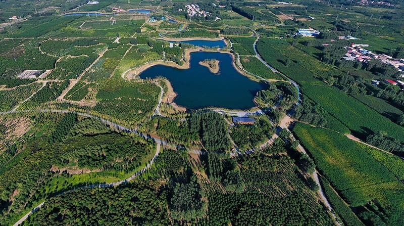 這是2022年9月6日拍攝的雄安新區(qū)“千年秀林”。