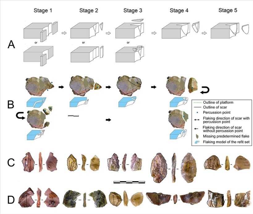 岑家灣遺址“準(zhǔn)備石核技術(shù)”及相關(guān)石制品。（受訪單位供圖）