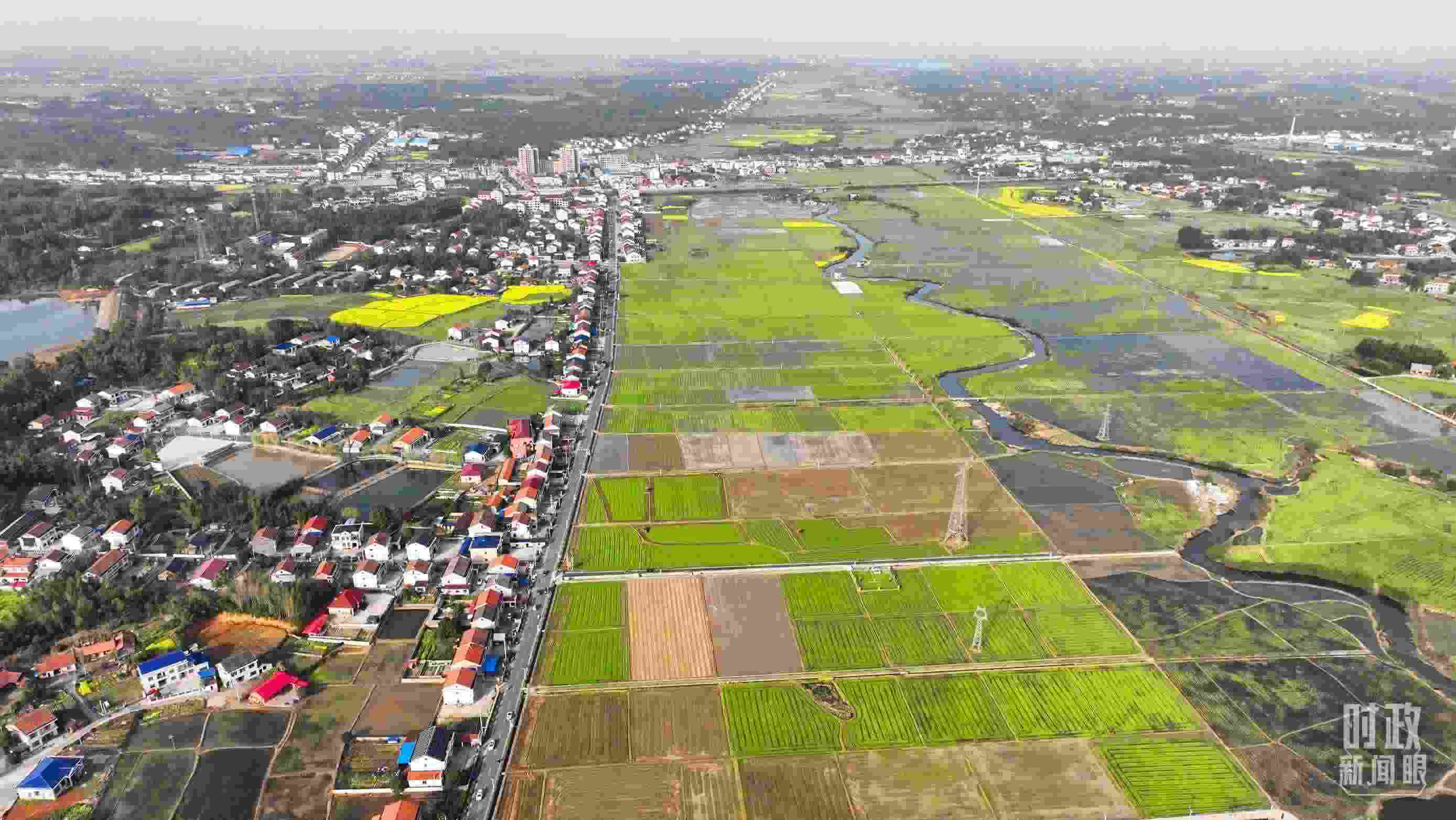 △俯瞰常德市謝家鋪鎮(zhèn)港中坪村。（總臺國廣記者李晉拍攝）