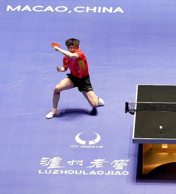 王楚欽在比賽中。賽事方供圖