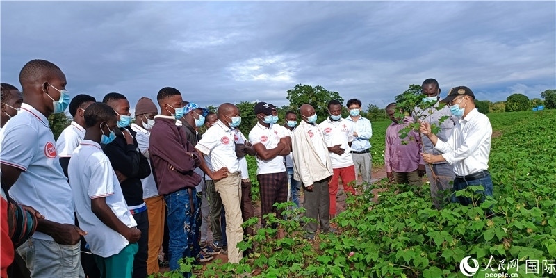 項目組長首小勇向當(dāng)?shù)孛揶r(nóng)做技術(shù)講解。人民網(wǎng)記者 黃培昭攝