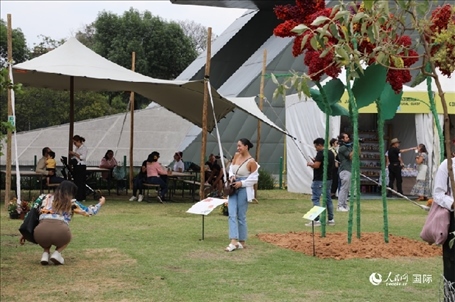 坎波·馬特活動(dòng)現(xiàn)場(chǎng)。埃內(nèi)斯托·多明戈斯攝