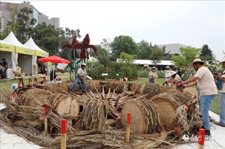 坎波·馬特活動(dòng)現(xiàn)場(chǎng)。埃內(nèi)斯托·多明戈斯攝