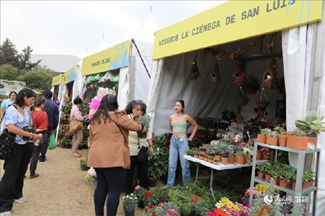 坎波·馬特活動(dòng)現(xiàn)場(chǎng)。埃內(nèi)斯托·多明戈斯攝