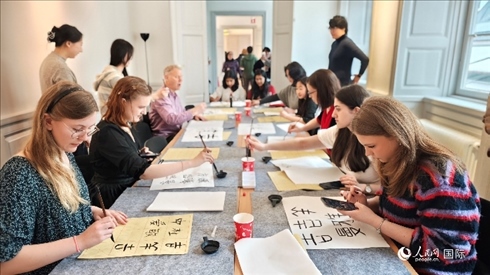 瑞典書法愛好者專心學習書法。人民網(wǎng)記者 殷淼攝