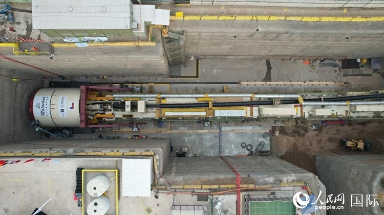 質(zhì)構(gòu)機全景。陳露明攝